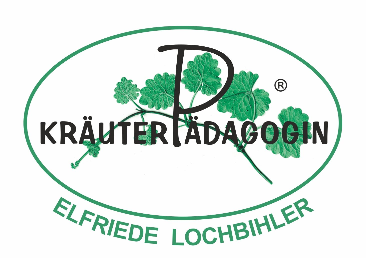 Elfriedes Kräuterwelt